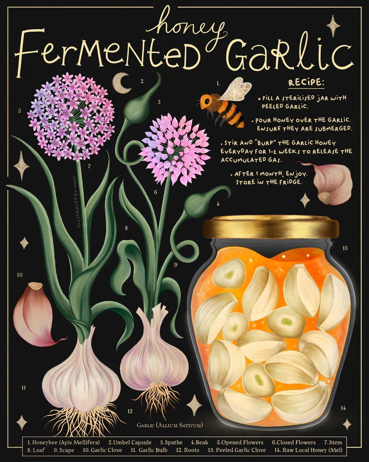 Everyday Remedies: Garlic Honey