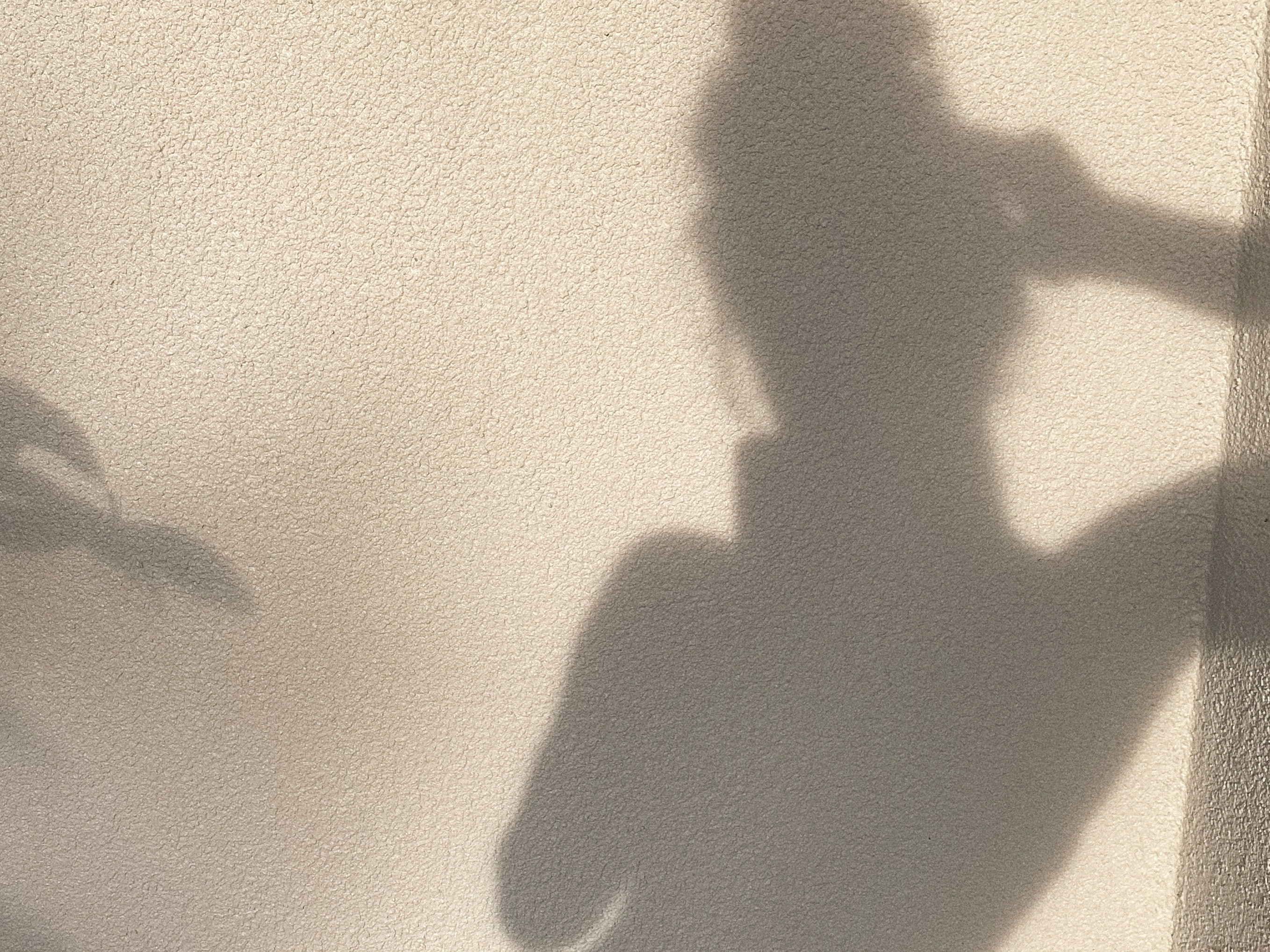 One Hour, Infinite Shifts: The Magic of Daily Yoga