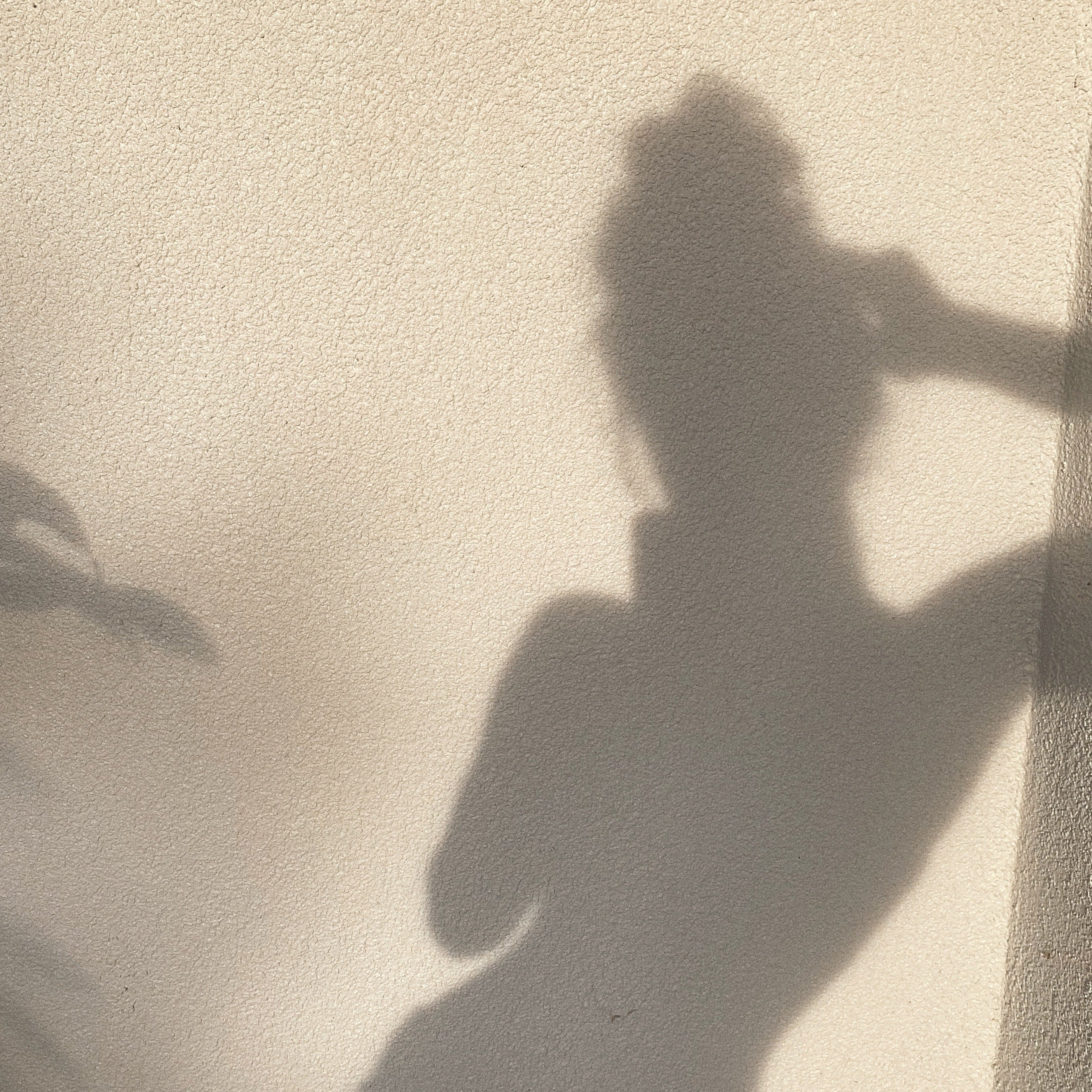 One Hour, Infinite Shifts: The Magic of Daily Yoga