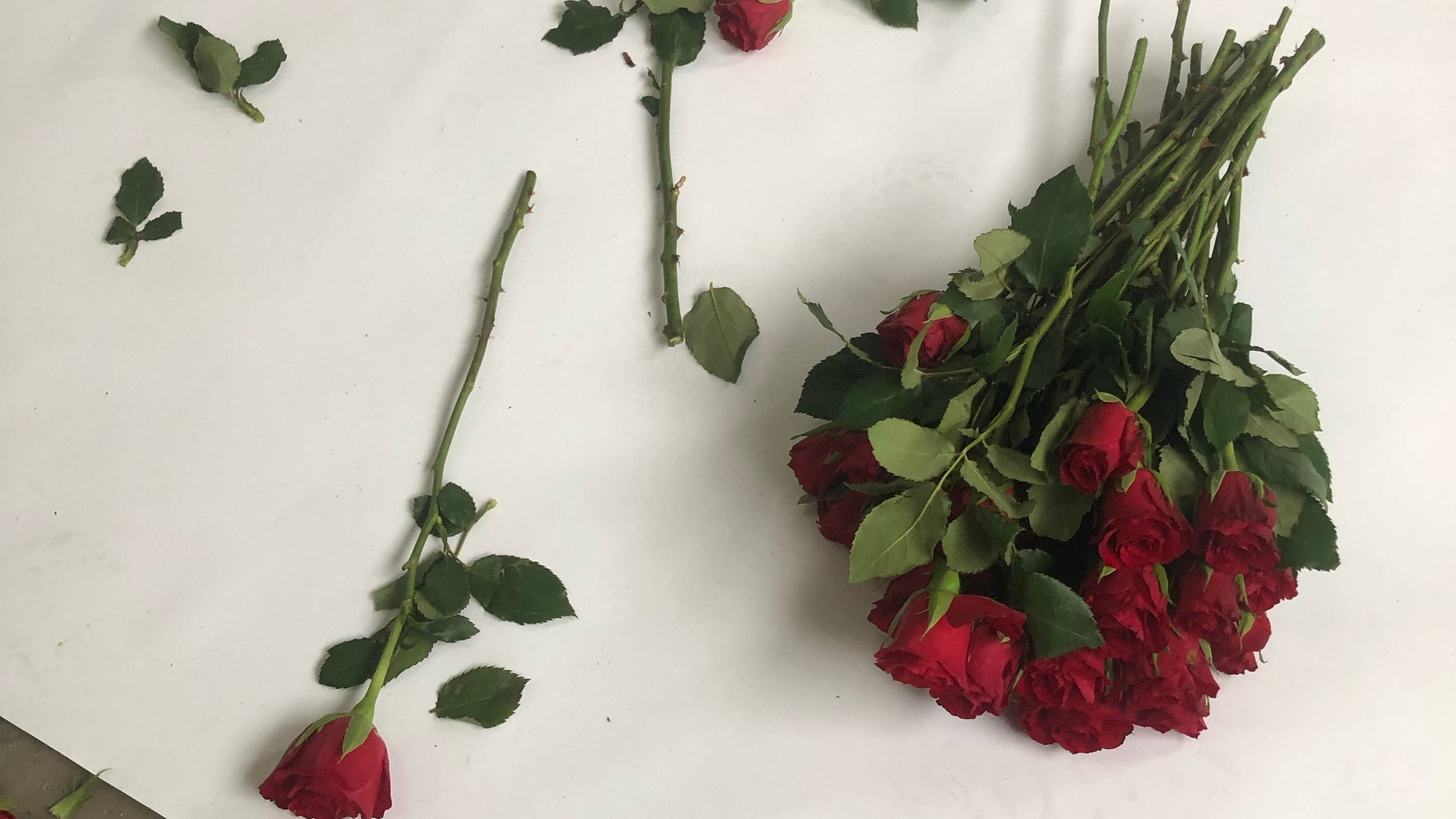The Subtle Art of Self-Love: Beyond Simplistic Mantras and Motivational Tropes