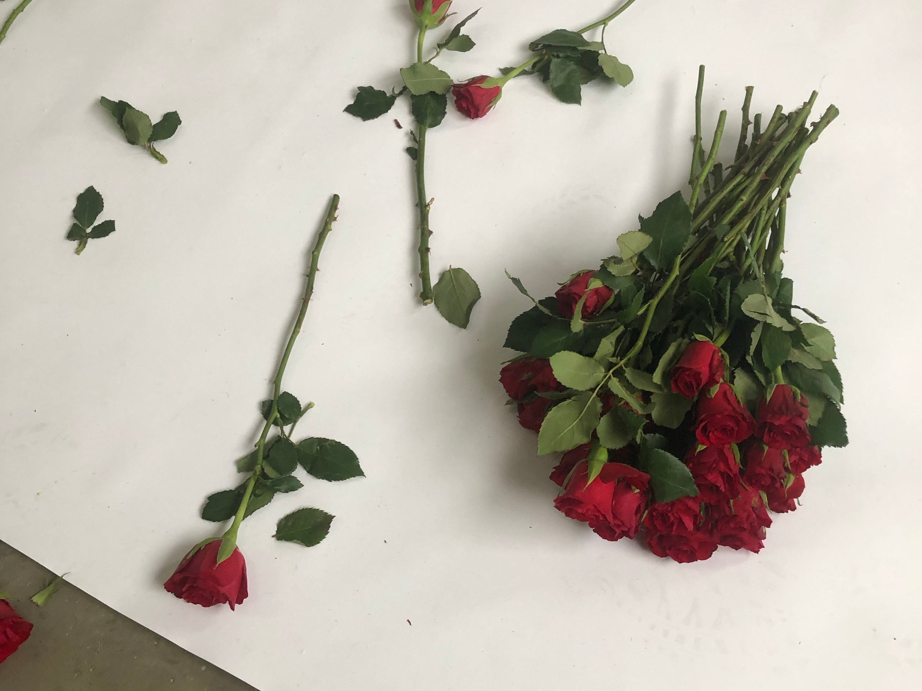 The Subtle Art of Self-Love: Beyond Simplistic Mantras and Motivational Tropes