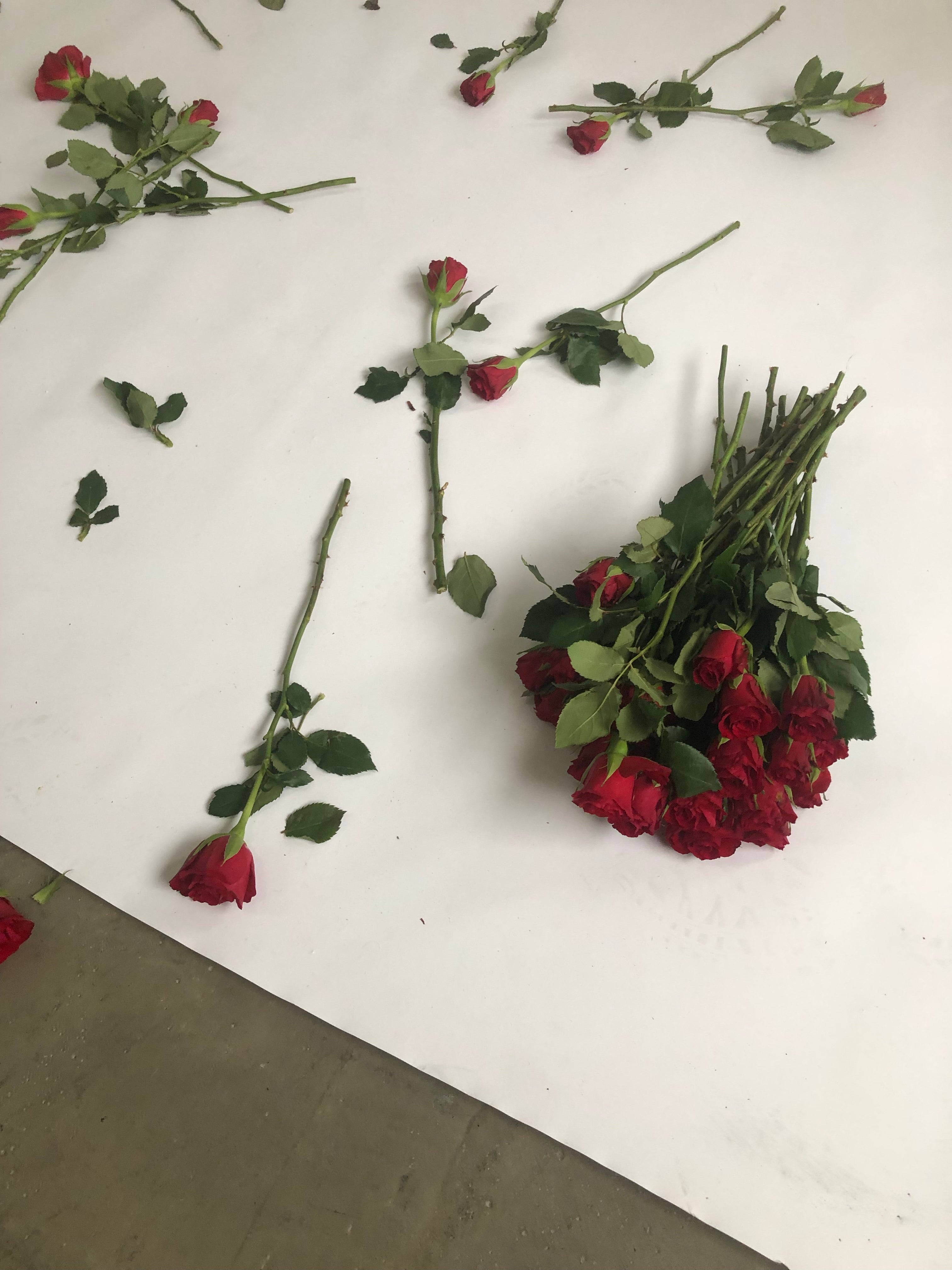 The Subtle Art of Self-Love: Beyond Simplistic Mantras and Motivational Tropes