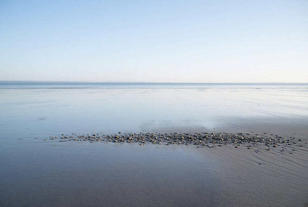 A cluster of small pebbles left on smooth wet sand at low tide, with a calm sea and pale sky at the horizon.