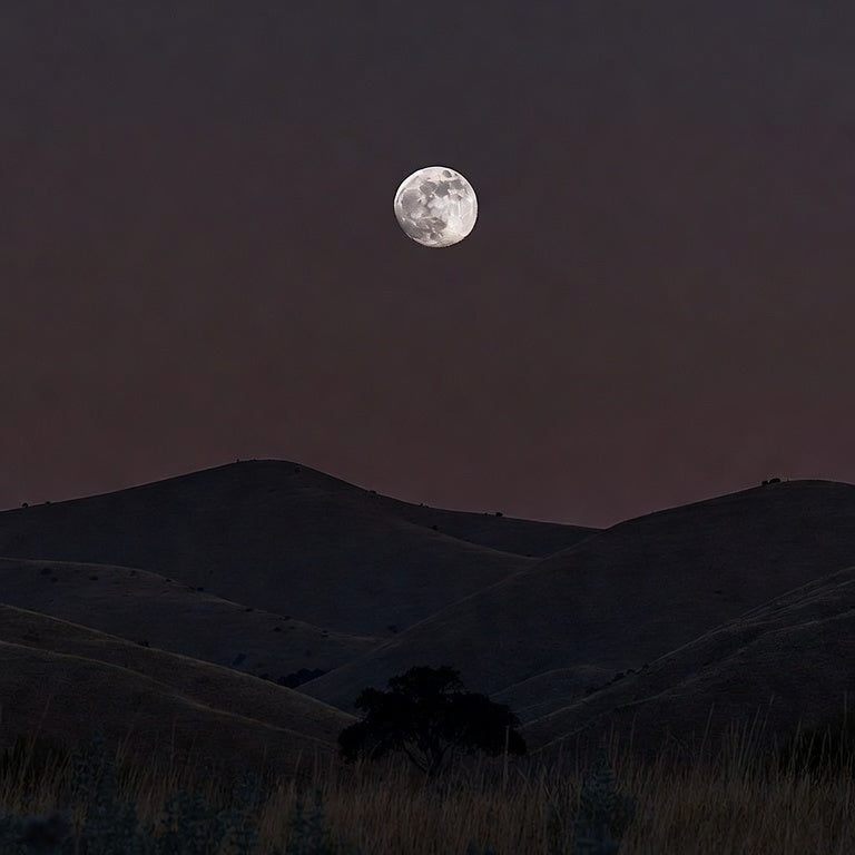 A Taurus Full Moon rising over soft rolling hills at night, a single oak tree silhouetted in the valley, tall grasses and sage in the foreground