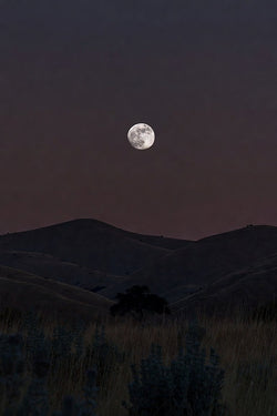 Your Weekly Cosmic Forecast: October 27-November 2, 2026