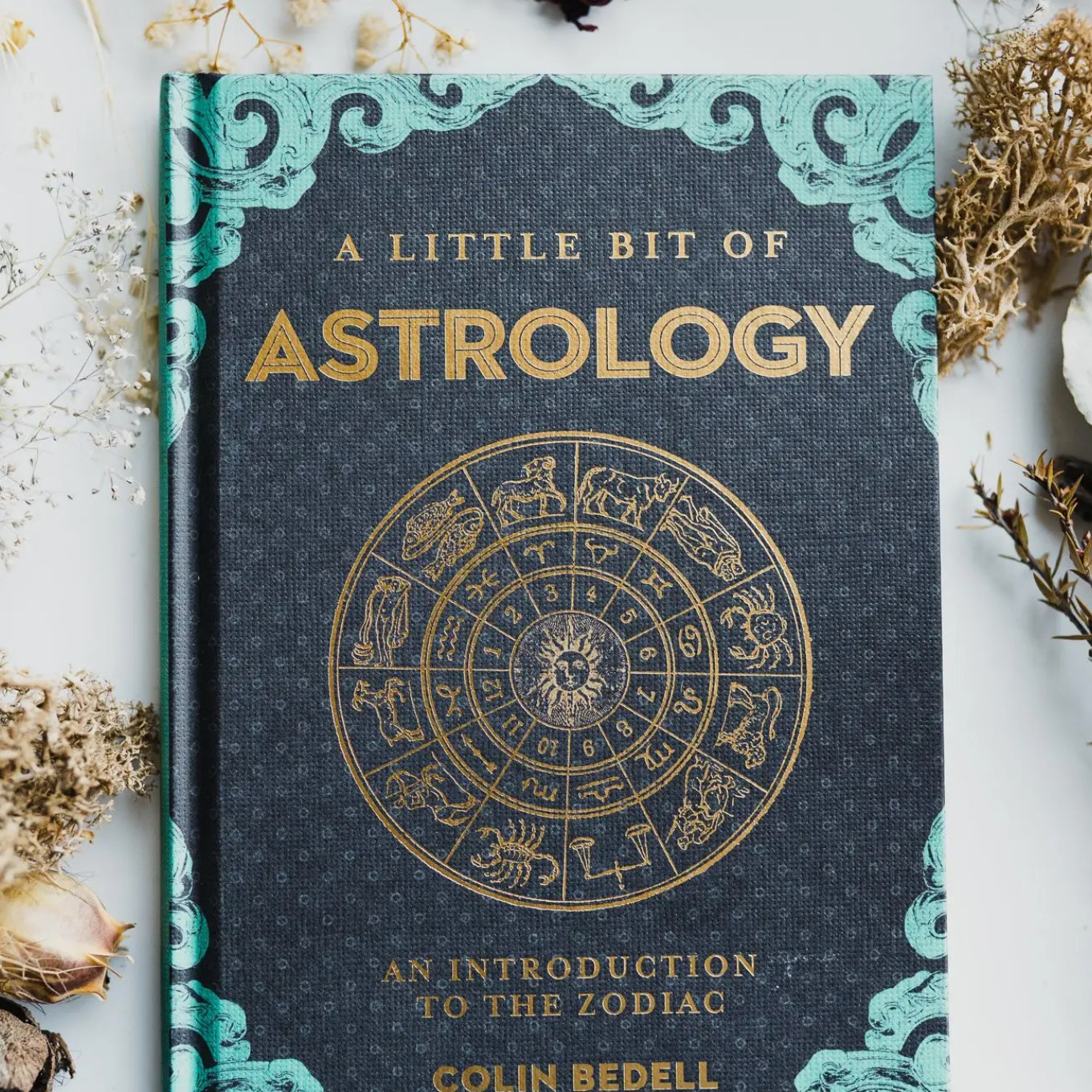 Little Bit of Astrology: An Introduction to the Zodiac