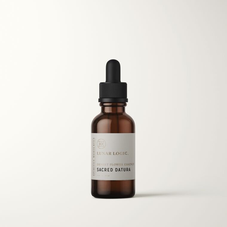 SACRED DATURA: Desert Flower Essence for Expansion