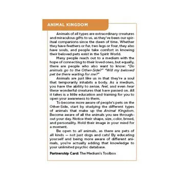 The Mediumship Training Deck by John Holland & Lauren Rainbow